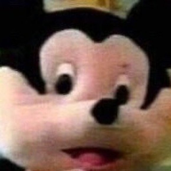 Meet your Posher, Stingray - Picture 1 of 1